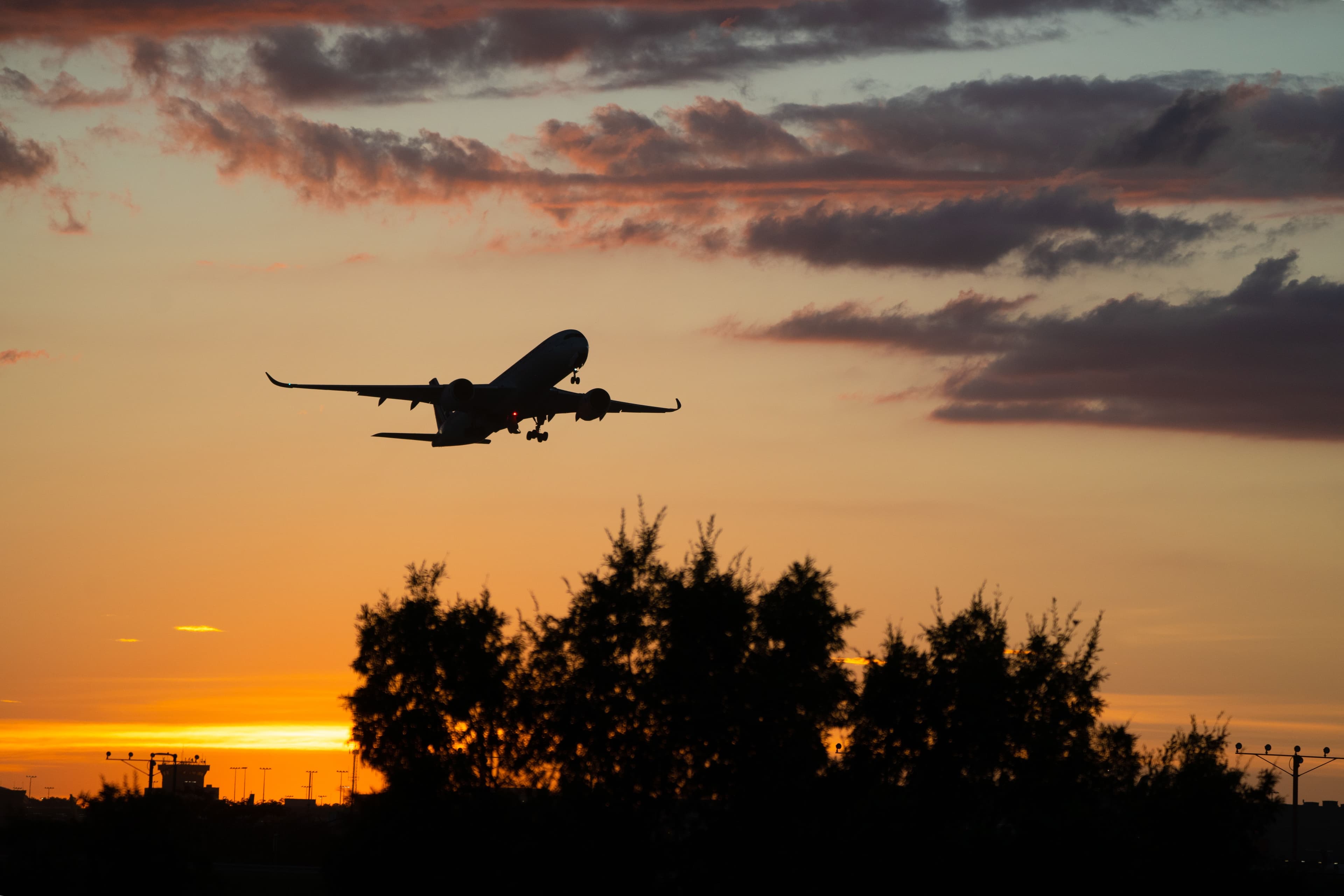 Flights to anywhere